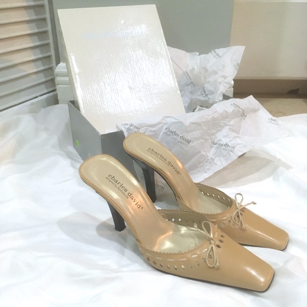 Charles David heel mules
